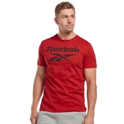 Camiseta Reebok Identity Big-Logo