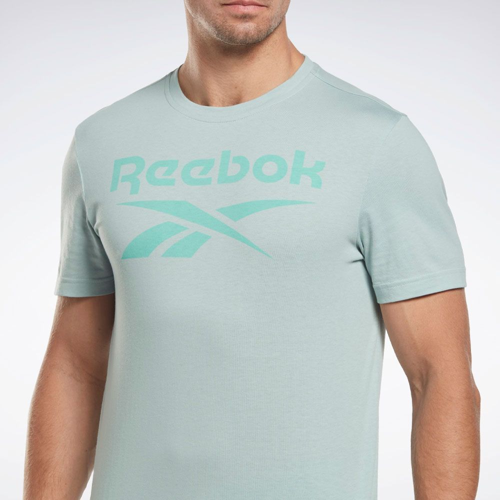 Camiseta Reebok Identity Big-Logo