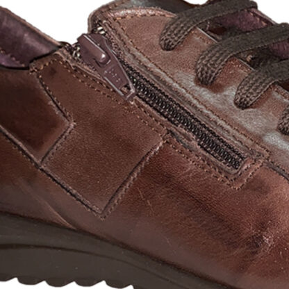 Zapato Mujer Pitillos 2512