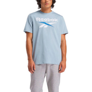 Camiseta Reebok Identity gris con logo grande Azul