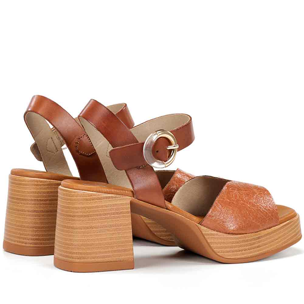 Sandalia Fluchos D9287 Marron