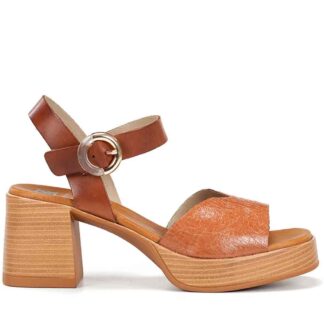 Sandalia Fluchos D9287 Marron